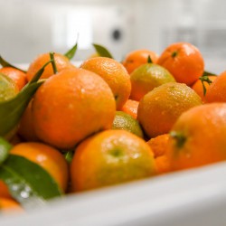 Sorbet artisanal à la clementine de Corse.