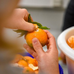 Sorbet artisanal à la clementine de Corse.