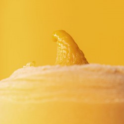Sorbet artisanal à la mangue Alphonso.