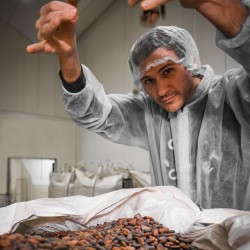 Sorbet artisanal au cacao.