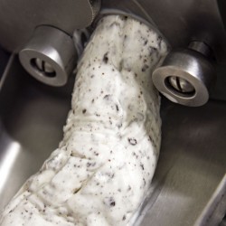 Glace artisanale stracciatella au chocolat de Madagascar.