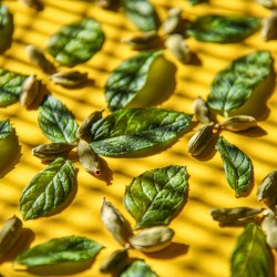 Sorbet artisanal infusion menthe à la marocaine.