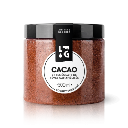 Sorbet artisanal au cacao.
